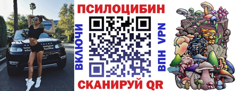 Галлюциногенные грибы MAGIC MUSHROOMS  даркнет телеграм  Светлогорск  mega онион 