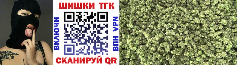 Бошки Шишки план  Светлогорск 