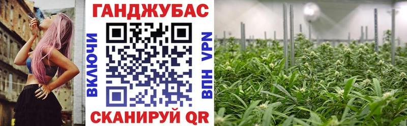 Марихуана планчик Светлогорск